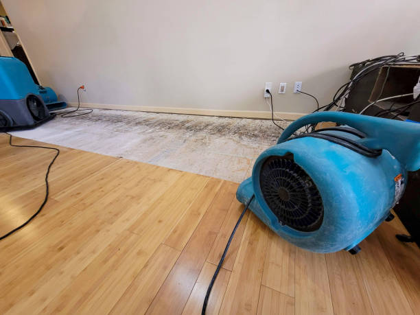 Professional Flood Damage Cleanup technician working in Taylor, MI